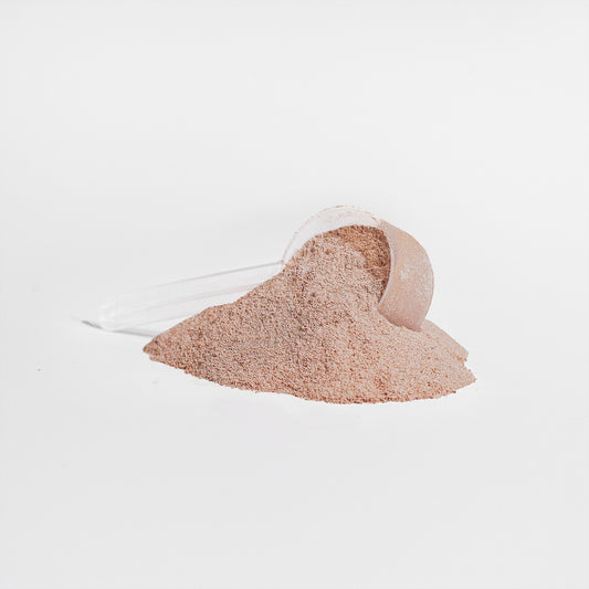 Grass-Fed Collagen Peptides Powder (Chocolate) Firedog Works