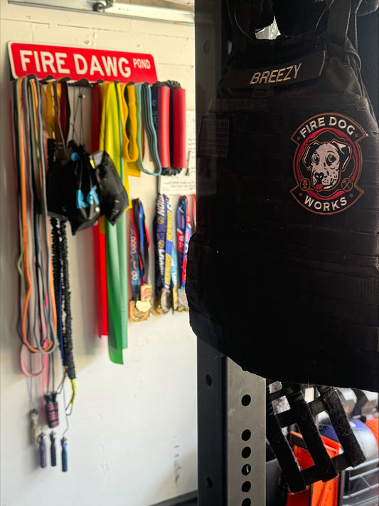 Firedog Works Embroidered Patch