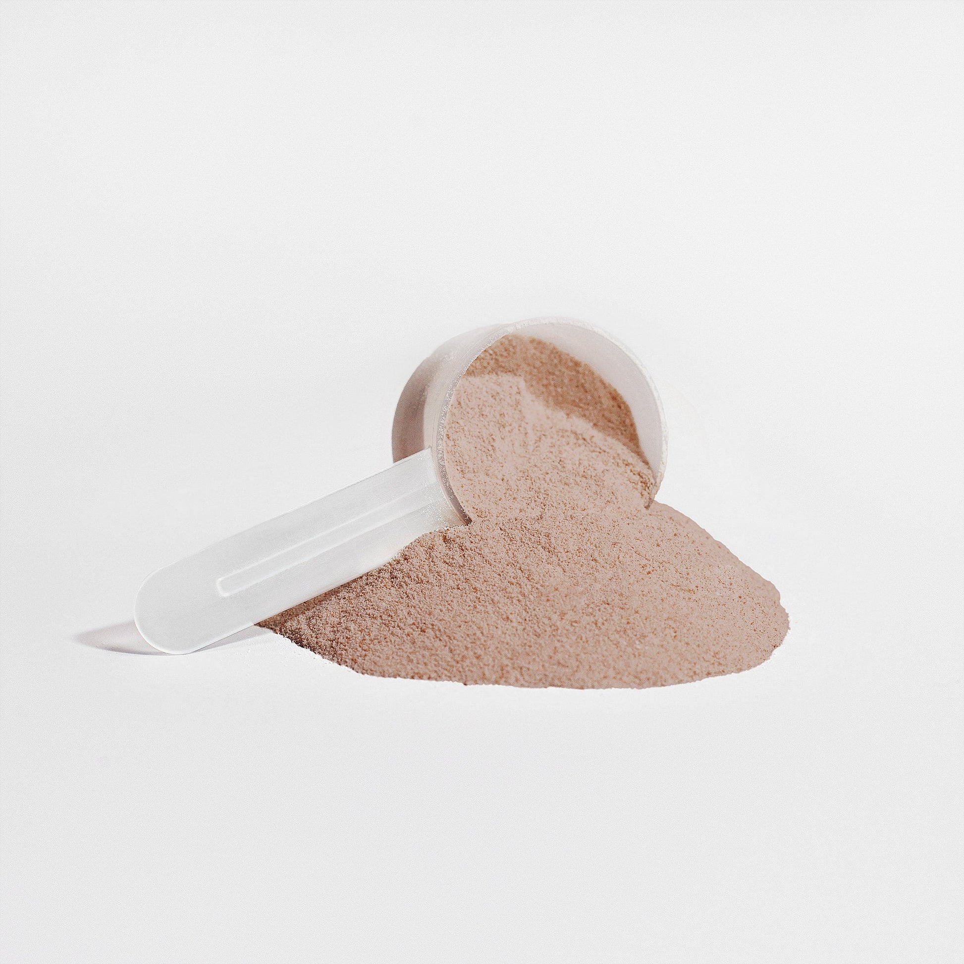 Plant Protein (Chocolate) Firedog Works